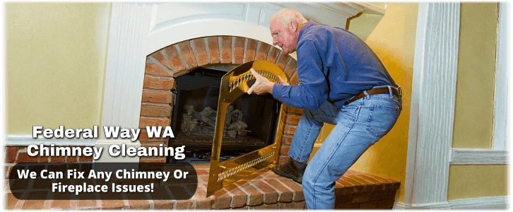 Chimney and Fireplace Solutions
